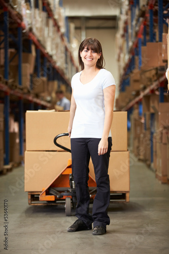 Photo: Businesswoman Pulling Pallet In Warehouse Businesswoman Pulling Pallet In Warehouse