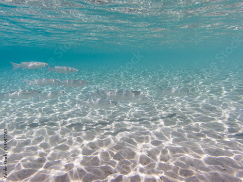 Photo: Beautiful shallows Beautiful shallows