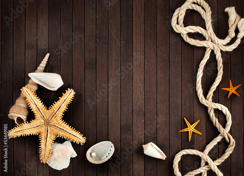 Photo: Marine still life. Marine still life.