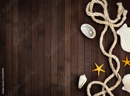 Photo: Marine still life. Marine still life.
