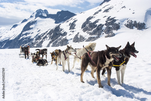 Photo: Alaska - Dog Sledding - Travel Destination Alaska - Dog Sledding - Travel Destination