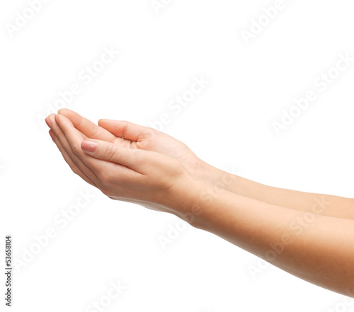 Photo: womans cupped hands womans cupped hands
