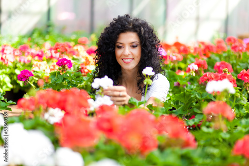 Photo: Woman in a greenhouse Woman in a greenhouse