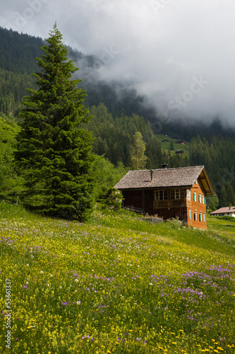 Photo: Berghütte Berghütte