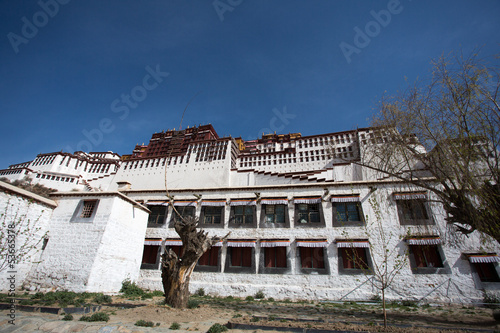 Photo: Potala Palace, Tibet Potala Palace, Tibet