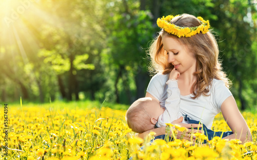 Photo: mother feeding her baby in nature green meadow with yellow flow mother feeding her baby in nature green meadow with yellow flow