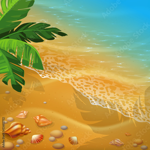 Vector: shells on the beach. Vector illustration. shells on the beach. Vector illustration.