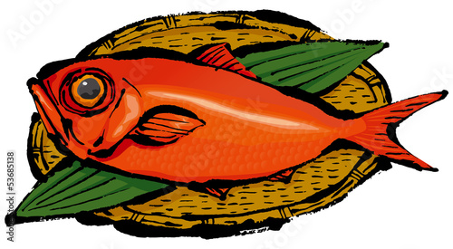 Illustration: 金目鯛 金目鯛