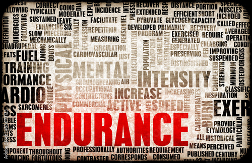 Photo: Endurance Endurance
