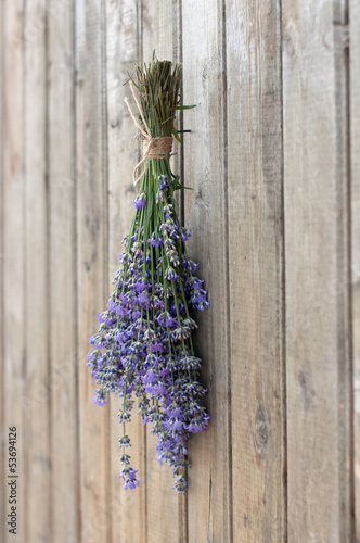 Photo: Lavender Lavender