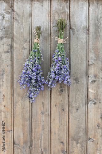 Photo: Two bunches of lavender Two bunches of lavender