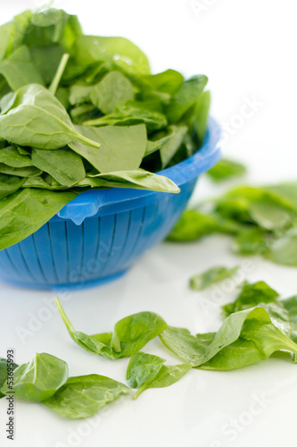 Photo: Fresh Spinach Fresh Spinach
