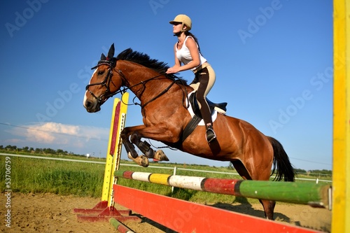 Photo: horse jumping horse jumping