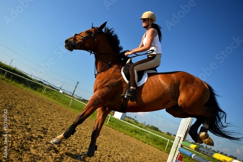 Photo: horse jumping horse jumping