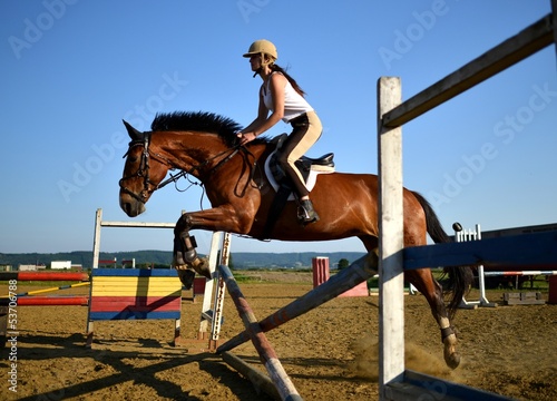 Photo: horse jumping horse jumping