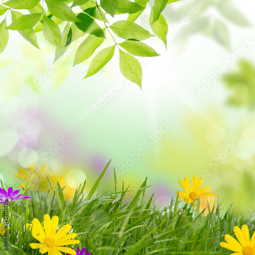 Photo: frühling frühling