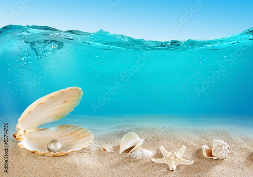 Photo: Pearl underwater Pearl underwater