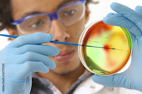 Photo: Manipulation de Microbiologie Manipulation de Microbiologie