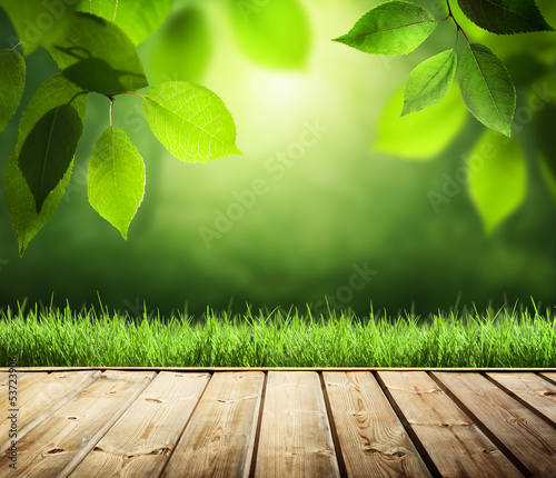 Photo: summer background with wooden surface summer background with wooden surface