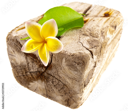Photo: fleur et feuille sur bois flotté fleur et feuille sur bois flotté