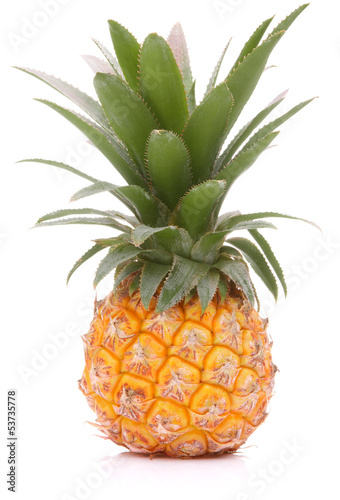 Photo: Pineapple tropical fruit or ananas Pineapple tropical fruit or ananas