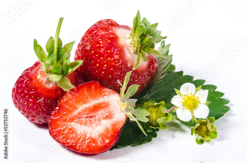 Photo: Sommer-Schönheiten: Frisch gepflückte Erdbeeren Sommer-Schönheiten: Frisch gepflückte Erdbeeren