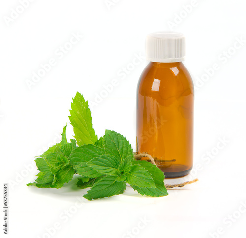 Photo: spearmint spearmint