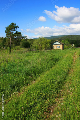 Photo: Проселочная дорога, заросшая травой Проселочная дорога, заросшая травой