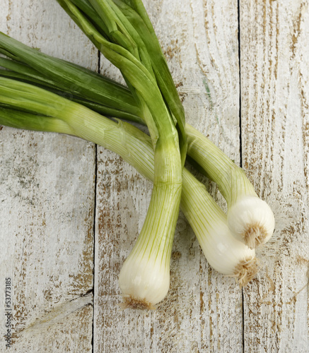 Photo: Green Onion Green Onion