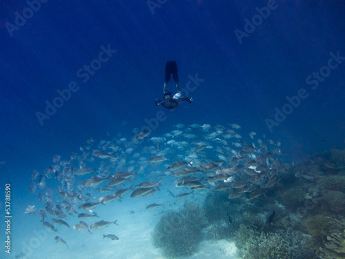 Photo: Man and school of fish Man and school of fish