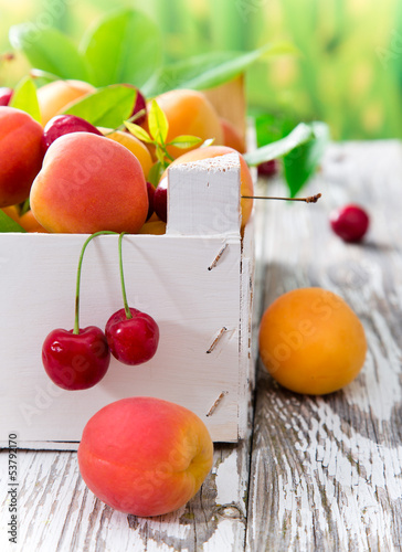 Photo: fresh apricots fresh apricots