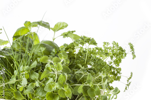 Photo: Various herbs Various herbs