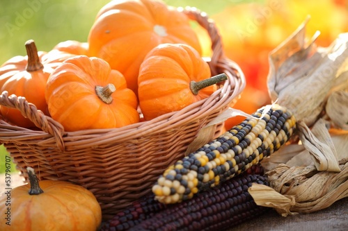 Photo: Pumpkins in basket and decorative corns Pumpkins in basket and decorative corns