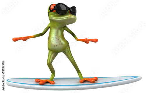 Photo: Fun frog Fun frog