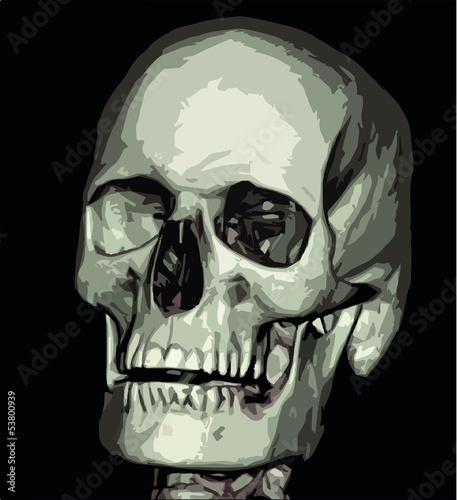 Vector: Schädel Illustration Schädel Illustration