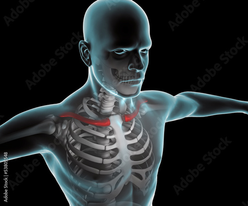 Illustration: corpo umano uomo raggi x clavicola scheletro dolore corpo umano uomo raggi x clavicola scheletro dolore