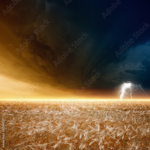 Illustration: Stormy sky, ripe barley Stormy sky, ripe barley