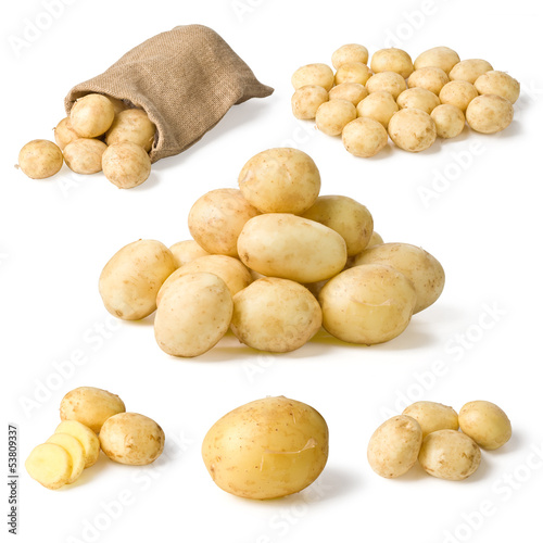 Photo: Set of Potatoes Set of Potatoes