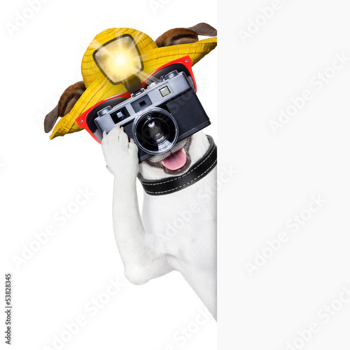 Photo: tourist dog photographer tourist dog photographer