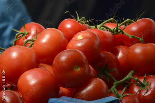 Photo: Tomaten Tomaten