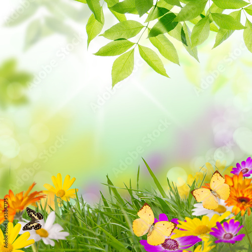 Photo: green times green times