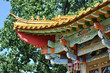 Chinese garden in Zurich Chinese garden in Zurich