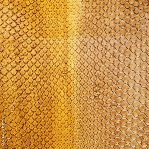 Photo: dyed python skin texture as background dyed python skin texture as background
