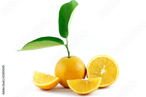 Photo: Laranja Suculenta Laranja Suculenta