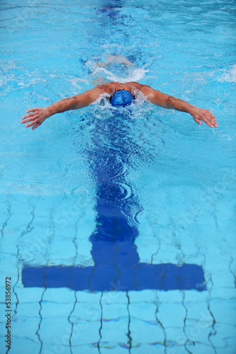 Photo: professional swimmer swimming dolphin style professional swimmer swimming dolphin style