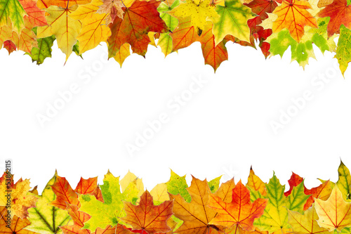 Photo: Autumn leaves frame, isolated on white. Autumn leaves frame, isolated on white.