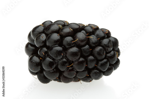 Photo: Brombeere Brombeere