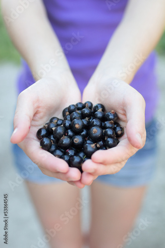 Photo: Young woman holding fresh blackcurrants Young woman holding fresh blackcurrants