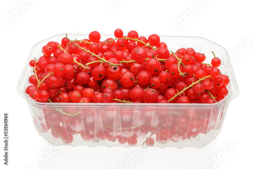 Photo: Rote Johannisbeeren Rote Johannisbeeren
