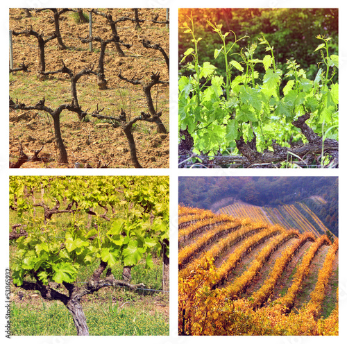 Photo: Four Seasons In Provence Four Seasons In Provence